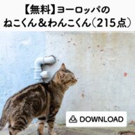animals_s_01
