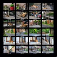 animals_s_06