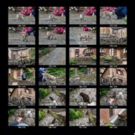 animals_s_09