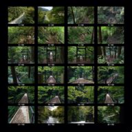 woods_s_02