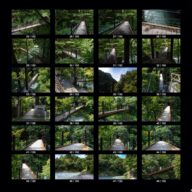 woods_s_03