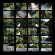 woods_s_04