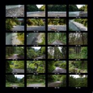 woods_s_05