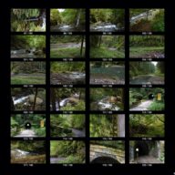 woods_s_06