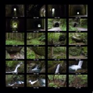 woods_s_07