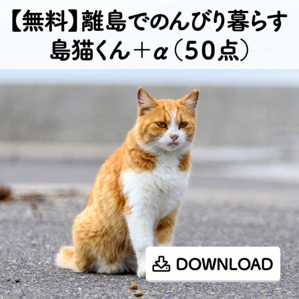 【無料】離島でのんびり暮らす島猫くん+α(50点)