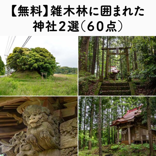 【無料】雑木林に囲まれた神社２選（６０点）